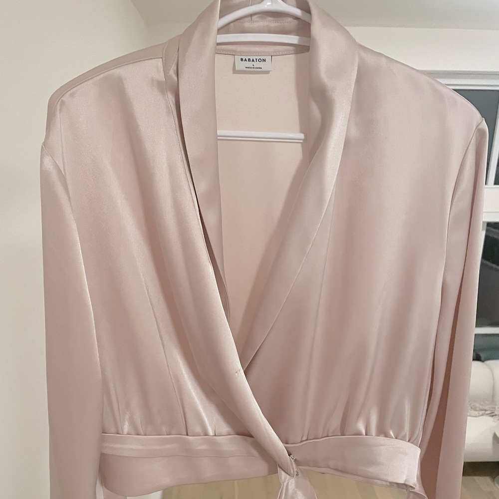 Brand New Aritzia Babaton Blouse